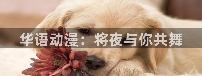 番薯动漫官网入口：华语动漫：将夜与你共舞